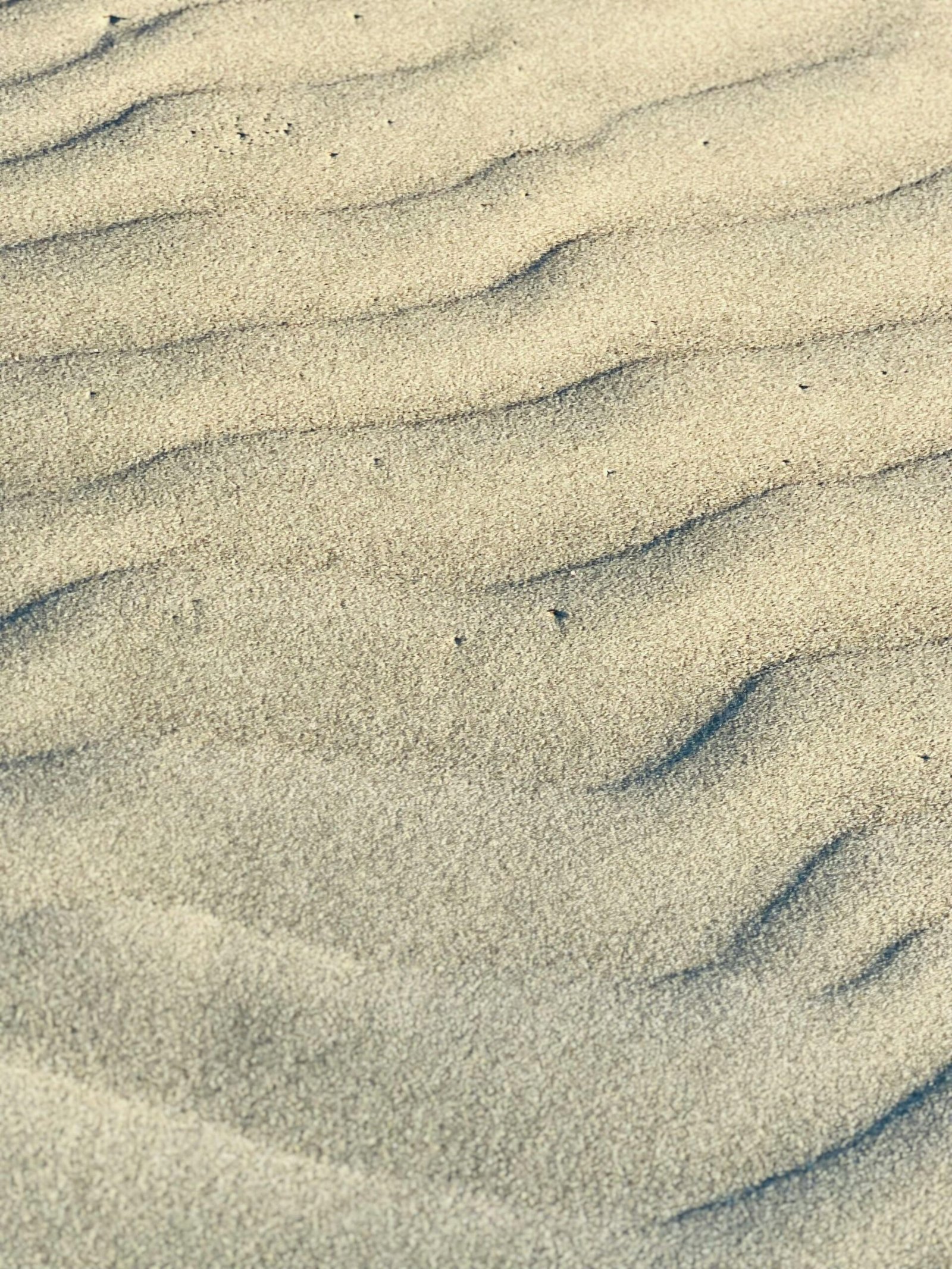 Close-up view of sand ripples on Cox